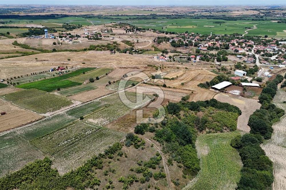 SATILIK HAYRABOLU KADRİYE 4 ADET 325m2 TARLA HİSSESİ