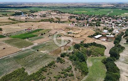 SATILIK HAYRABOLU KADRİYE 4 ADET 325m2 TARLA HİSSESİ