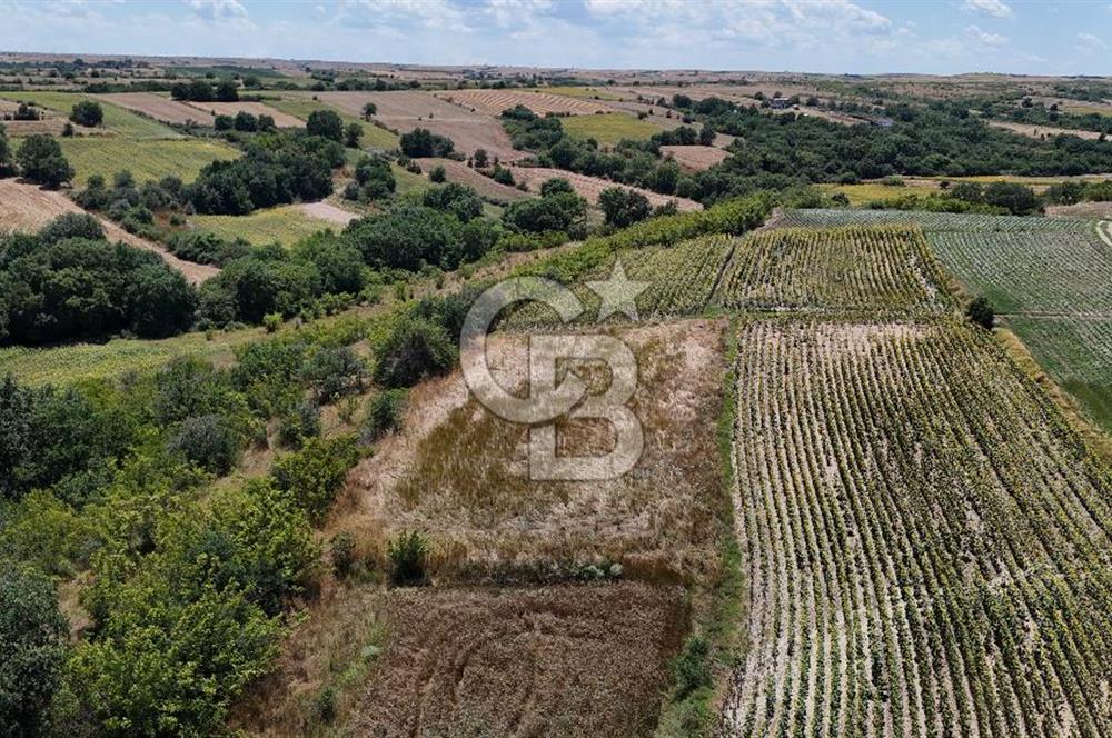 SATILIK HAYRABOLU KADRİYE 4 ADET 325m2 TARLA HİSSESİ