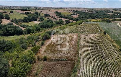 SATILIK HAYRABOLU KADRİYE 4 ADET 325m2 TARLA HİSSESİ