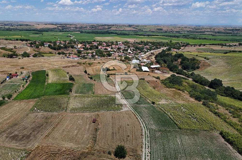 SATILIK HAYRABOLU KADRİYE 4 ADET 325m2 TARLA HİSSESİ