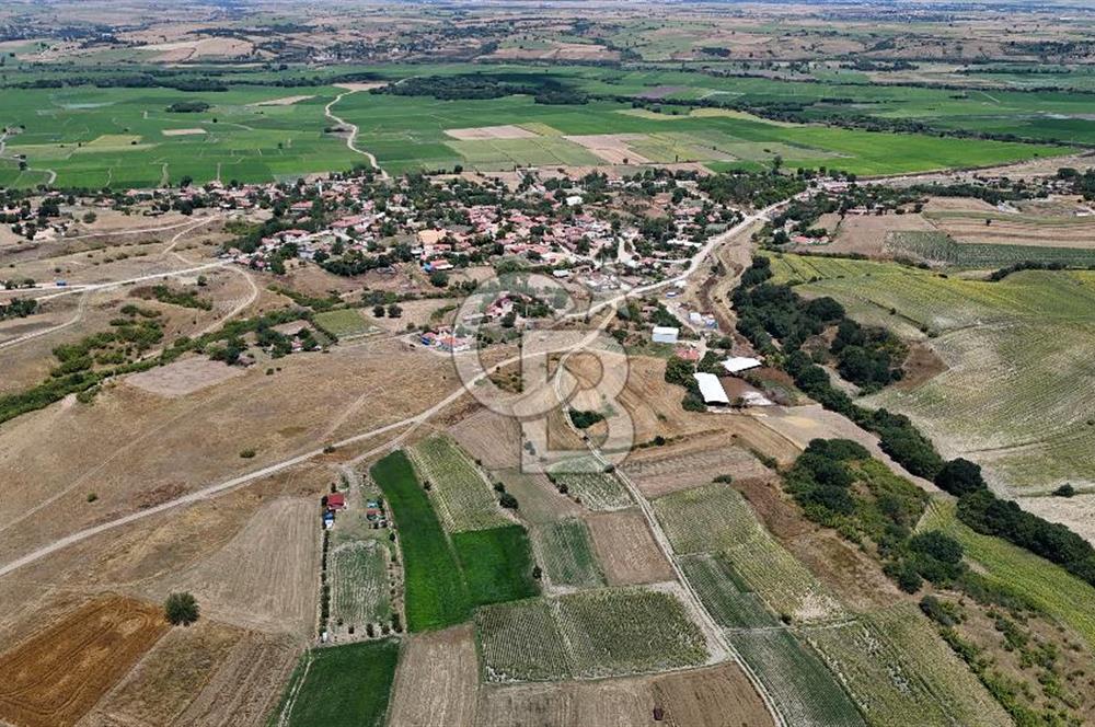 SATILIK HAYRABOLU KADRİYE 4 ADET 325m2 TARLA HİSSESİ