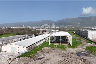İzmir kemalp - 1 - 360789