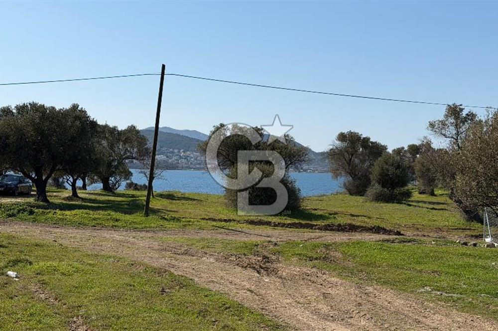 Yeni Foça yol üzeri 375 m2 parsel