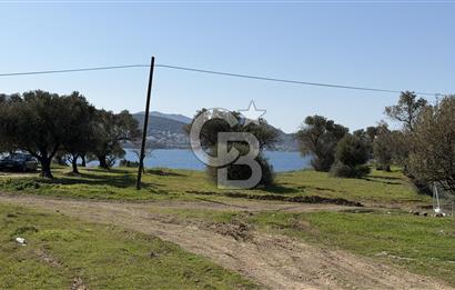 Yeni Foça yol üzeri 375 m2 parsel