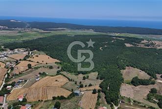ÇATALCA HİSARBEYLİ'DE SATILIK 4.033 M² TEK TAPU - 1 - 360820