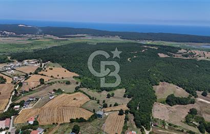 ÇATALCA HİSARBEYLİ'DE SATILIK 4.033 M² TEK TAPU