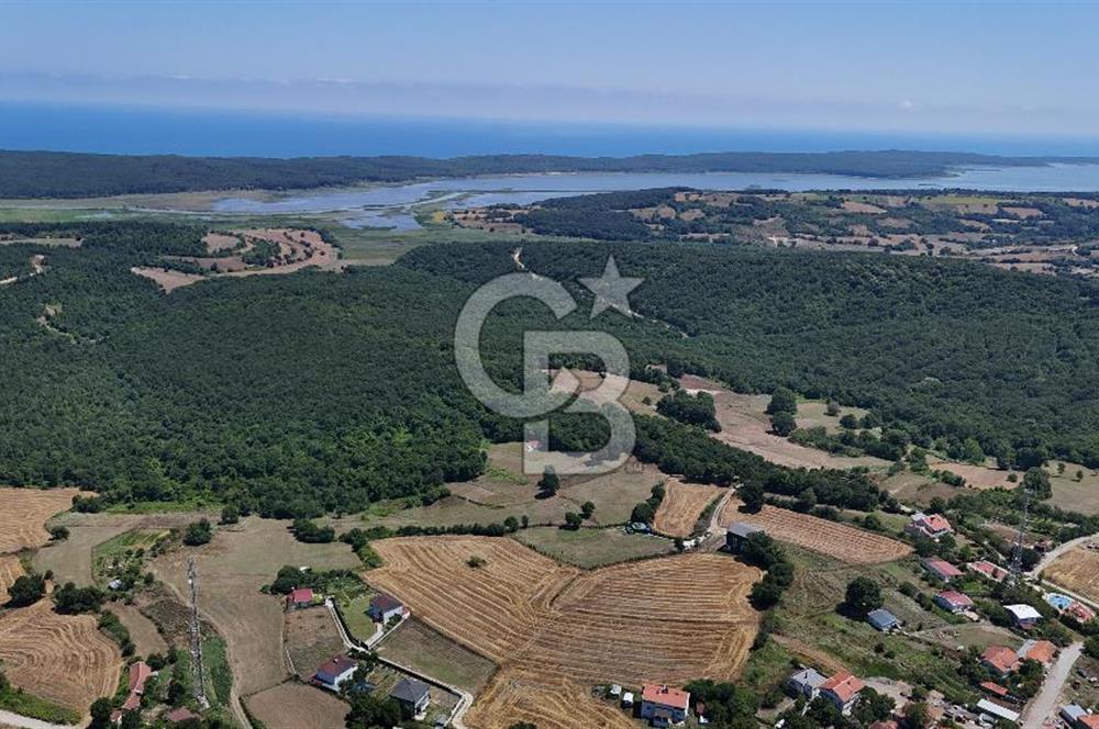 ÇATALCA HİSARBEYLİ'DE SATILIK 4.033 M² TEK TAPU