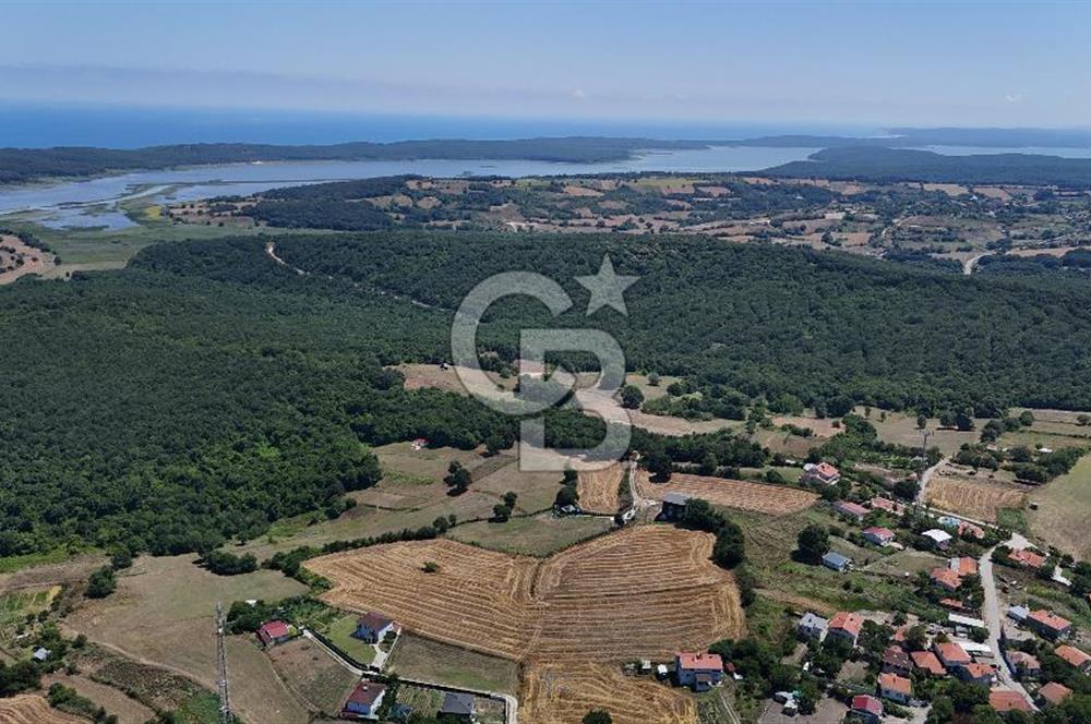 ÇATALCA HİSARBEYLİ'DE SATILIK 4.033 M² TEK TAPU