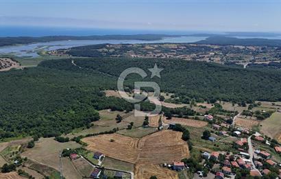 ÇATALCA HİSARBEYLİ'DE SATILIK 4.033 M² TEK TAPU