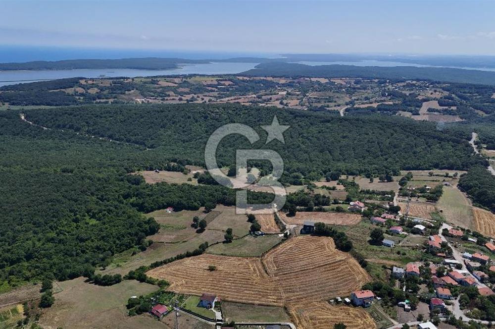 ÇATALCA HİSARBEYLİ'DE SATILIK 4.033 M² TEK TAPU