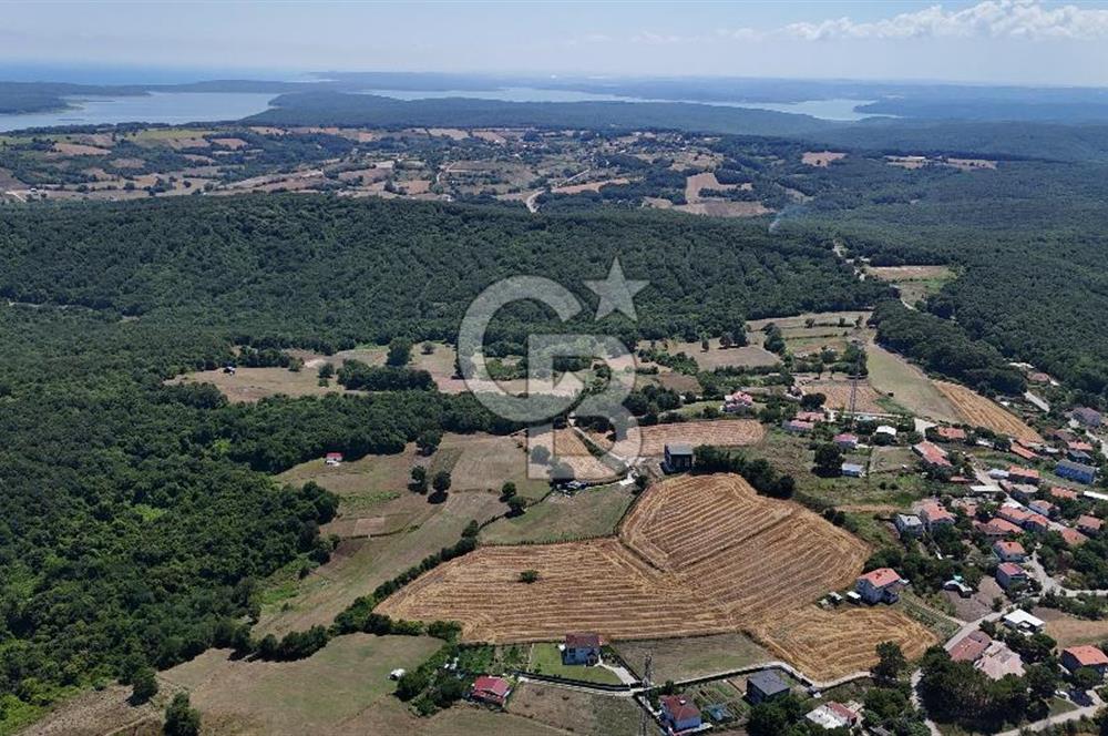 ÇATALCA HİSARBEYLİ'DE SATILIK 4.033 M² TEK TAPU