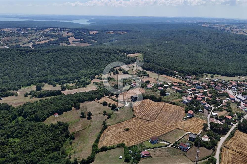 ÇATALCA HİSARBEYLİ'DE SATILIK 4.033 M² TEK TAPU