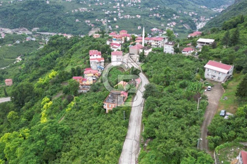 DOLAYLI MAHALLESİNDE SATILIK ARSA FIRSATIFavorilerime EkleYazdırFacebook ile paylaş X ile paylaş E-posta ile gönder