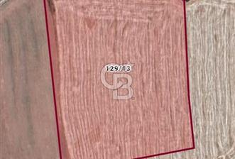 TEKİRDAĞ ŞARKÖY'DE SATILIK TARLA / BAĞ - 1 - 360825