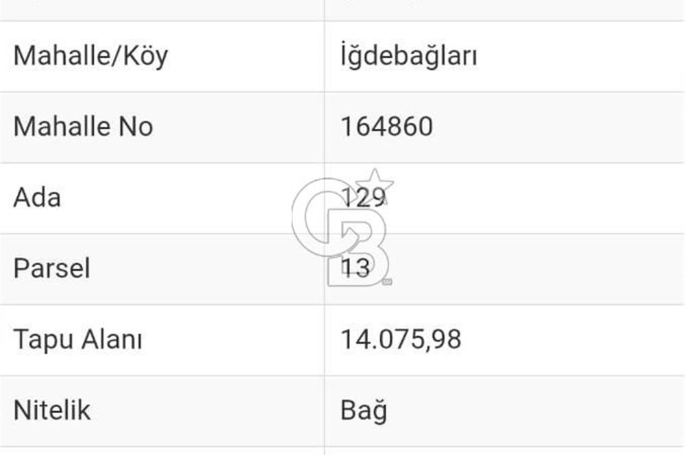 TEKİRDAĞ ŞARKÖY'DE SATILIK TARLA / BAĞ