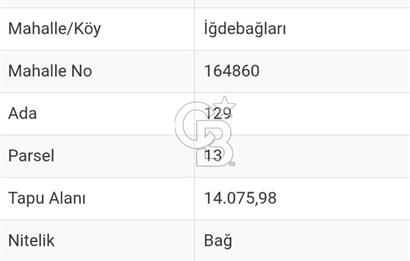 TEKİRDAĞ ŞARKÖY'DE SATILIK TARLA / BAĞ