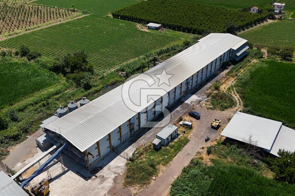 Manisa Turgutlu Satılık Tarım - Hayvancılık Tesisi ve 0.40 İmarlı Arsası