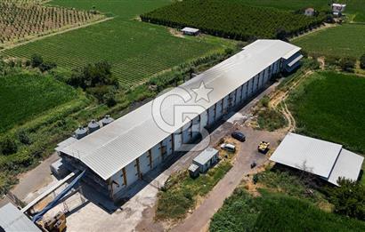 Manisa Turgutlu Satılık Tarım - Hayvancılık Tesisi ve 0.40 İmarlı Arsası