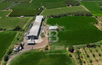 Manisa Turgutlu Satılık Tarım - Hayvancılık Tesisi ve 0.40 İmarlı Arsası
