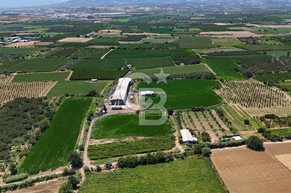 Manisa Turgutlu Satılık Tarım - Hayvancılık Tesisi ve 0.40 İmarlı Arsası