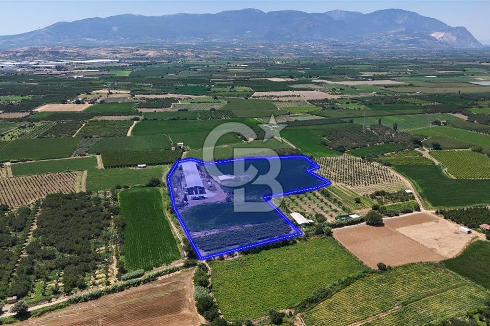 Manisa Turgutlu Satılık Tarım - Hayvancılık Tesisi ve 0.40 İmarlı Arsası