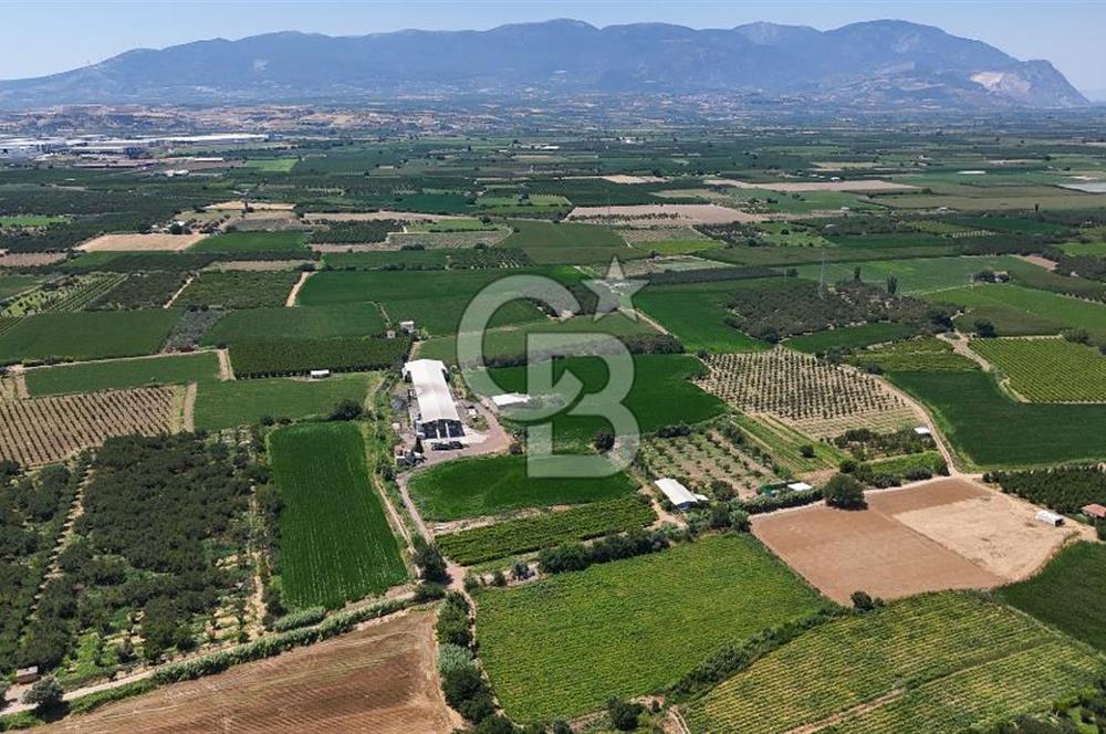 Manisa Turgutlu Satılık Tarım - Hayvancılık Tesisi ve 0.40 İmarlı Arsası