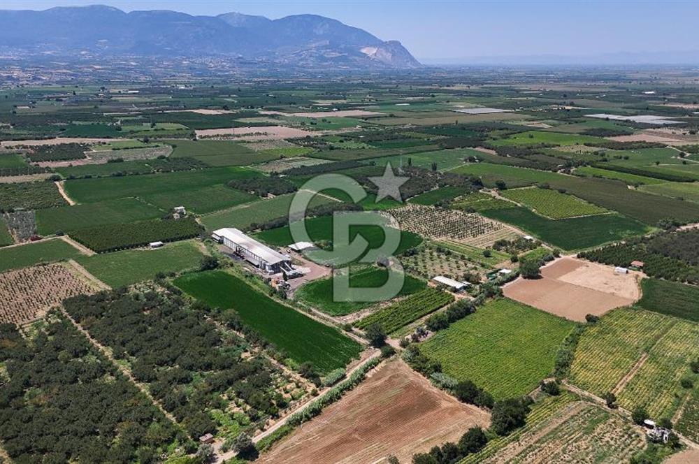 Manisa Turgutlu Satılık Tarım - Hayvancılık Tesisi ve 0.40 İmarlı Arsası