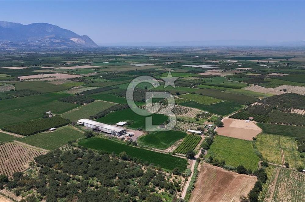 Manisa Turgutlu Satılık Tarım - Hayvancılık Tesisi ve 0.40 İmarlı Arsası