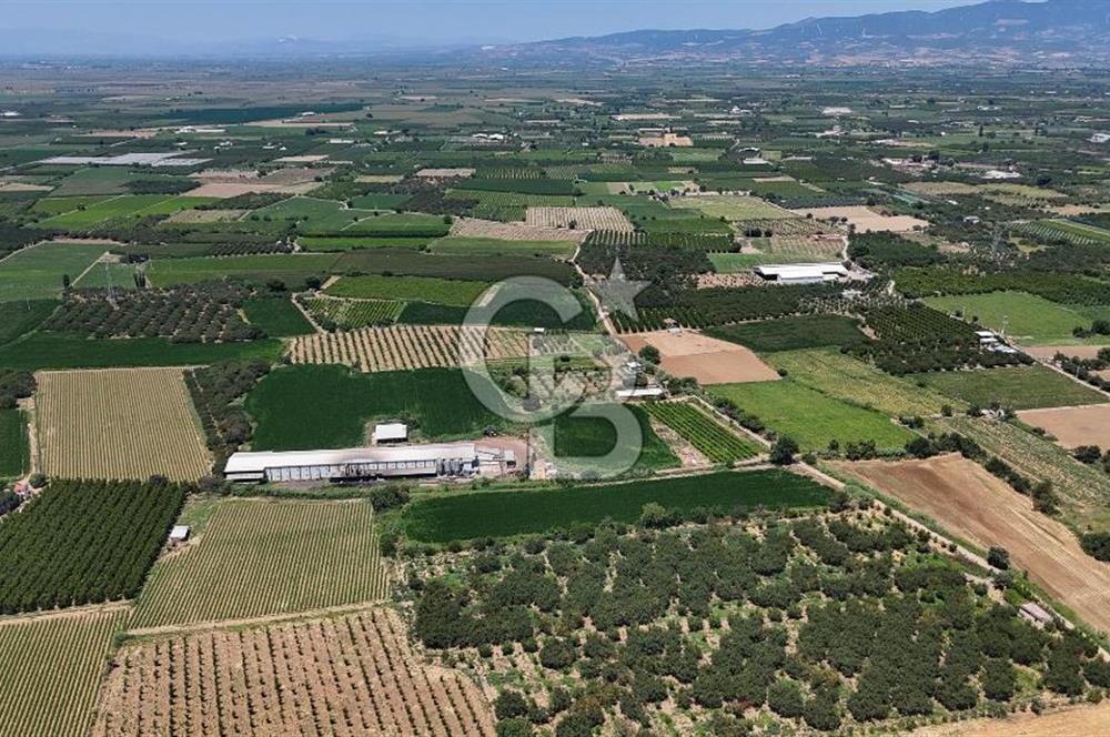 Manisa Turgutlu Satılık Tarım - Hayvancılık Tesisi ve 0.40 İmarlı Arsası