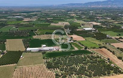 Manisa Turgutlu Satılık Tarım - Hayvancılık Tesisi ve 0.40 İmarlı Arsası
