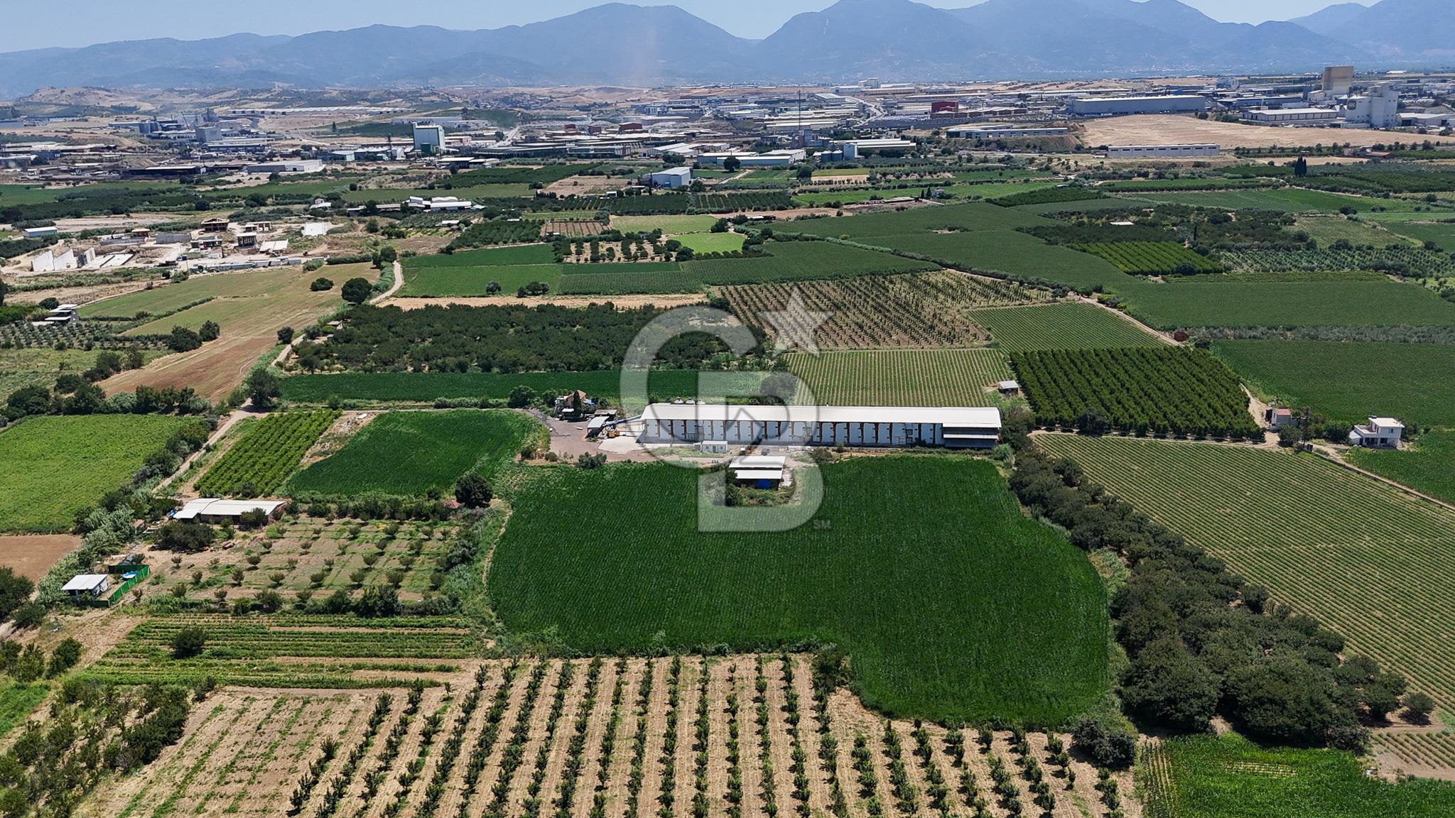 Manisa Turgutlu Satılık Tarım - Hayvancılık Tesisi ve 0.40 İmarlı Arsası