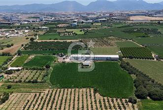 Manisa Turgutlu Satılık Tarım - Hayvancılık Tesisi ve 0.40 İmarlı Arsası - 1 - 360881