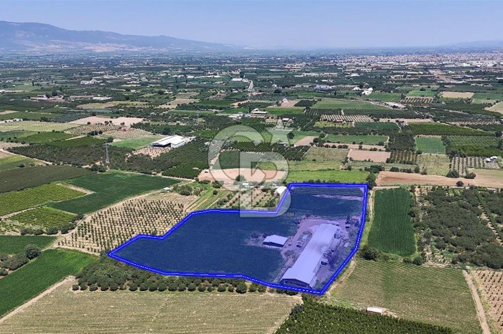 Manisa Turgutlu Satılık Tarım - Hayvancılık Tesisi ve 0.40 İmarlı Arsası