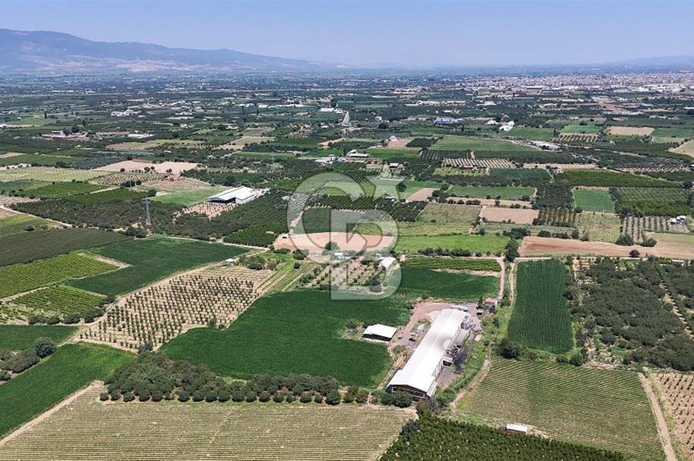 Manisa Turgutlu Satılık Tarım - Hayvancılık Tesisi ve 0.40 İmarlı Arsası