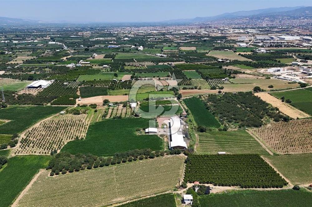 Manisa Turgutlu Satılık Tarım - Hayvancılık Tesisi ve 0.40 İmarlı Arsası