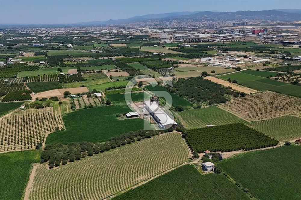 Manisa Turgutlu Satılık Tarım - Hayvancılık Tesisi ve 0.40 İmarlı Arsası