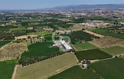 Manisa Turgutlu Satılık Tarım - Hayvancılık Tesisi ve 0.40 İmarlı Arsası