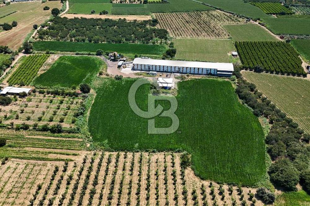 Manisa Turgutlu Satılık Tarım - Hayvancılık Tesisi ve 0.40 İmarlı Arsası