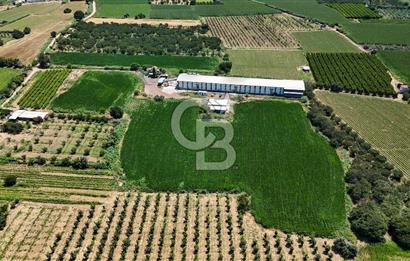 Manisa Turgutlu Satılık Tarım - Hayvancılık Tesisi ve 0.40 İmarlı Arsası