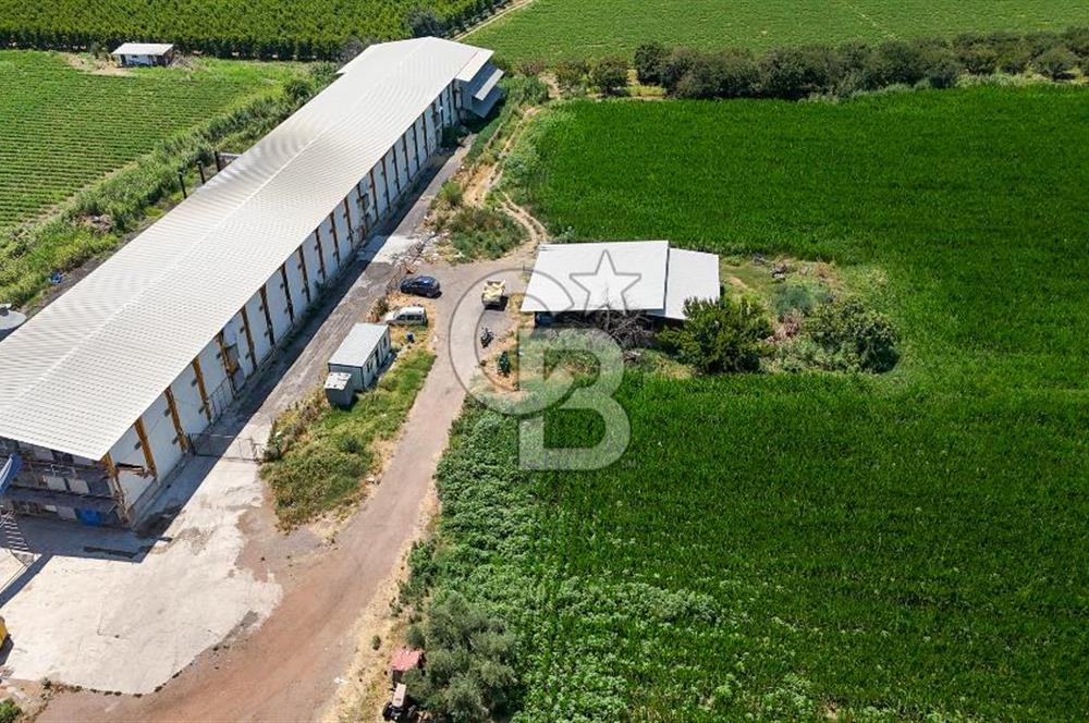 Manisa Turgutlu Satılık Tarım - Hayvancılık Tesisi ve 0.40 İmarlı Arsası