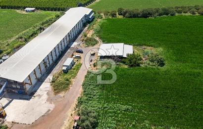 Manisa Turgutlu Satılık Tarım - Hayvancılık Tesisi ve 0.40 İmarlı Arsası