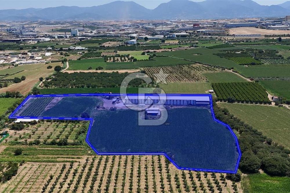 Manisa Turgutlu Satılık Tarım - Hayvancılık Tesisi ve 0.40 İmarlı Arsası