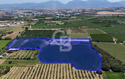Manisa Turgutlu Satılık Tarım - Hayvancılık Tesisi ve 0.40 İmarlı Arsası