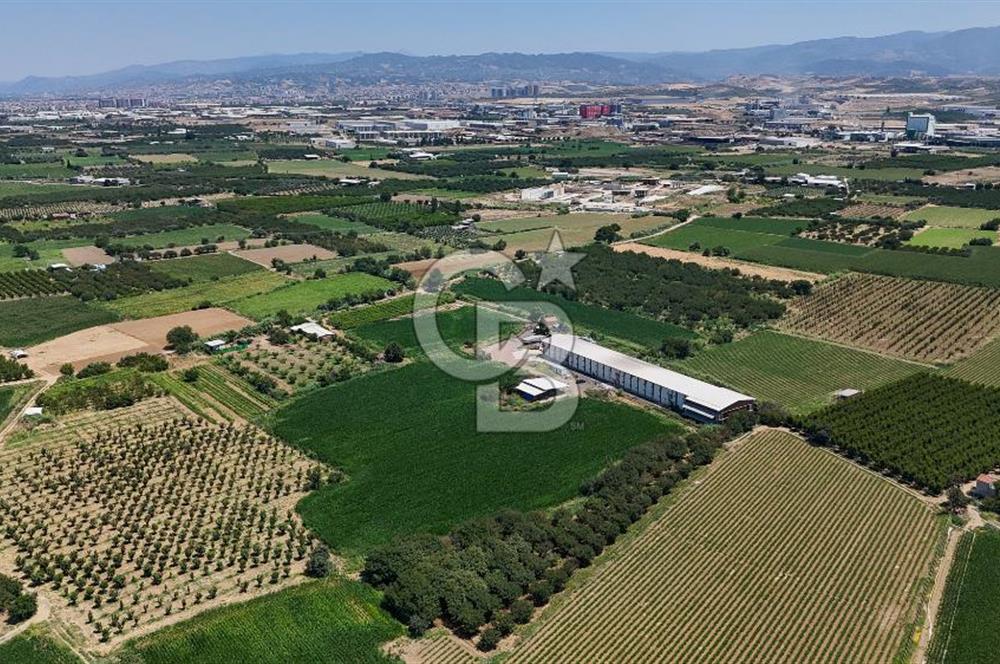 Manisa Turgutlu Satılık Tarım - Hayvancılık Tesisi ve 0.40 İmarlı Arsası
