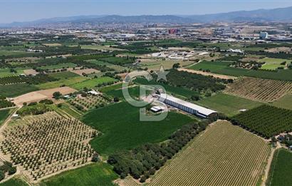 Manisa Turgutlu Satılık Tarım - Hayvancılık Tesisi ve 0.40 İmarlı Arsası