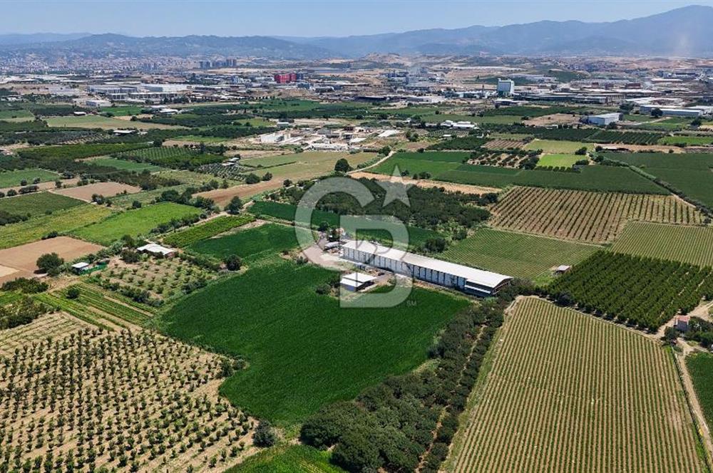 Manisa Turgutlu Satılık Tarım - Hayvancılık Tesisi ve 0.40 İmarlı Arsası