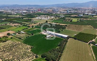 Manisa Turgutlu Satılık Tarım - Hayvancılık Tesisi ve 0.40 İmarlı Arsası