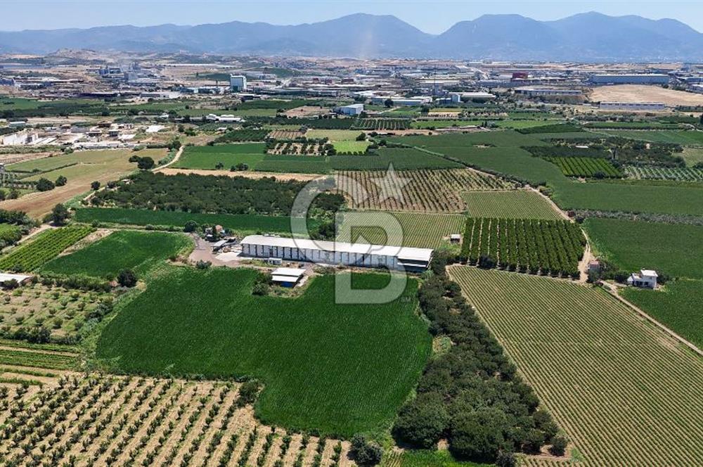 Manisa Turgutlu Satılık Tarım - Hayvancılık Tesisi ve 0.40 İmarlı Arsası