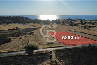 EZİNE TAVAKLI İSKELESİN'DE ASFALT YOLUNA CEPHELİ 5293 m2 TARLA - 1 - 360828